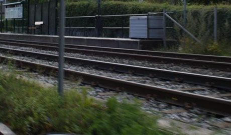 Trafikverkets sommarprioritering: ogräs