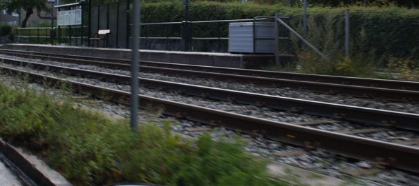Trafikverkets sommarprioritering: ogräs