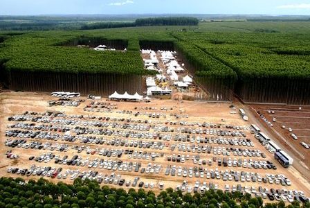 Brasilien starkt växande som skogsbruksland