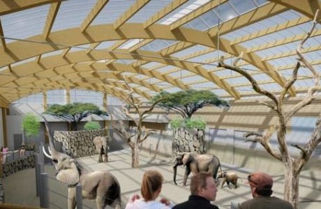 Bygger elefanthus för 30 miljoner