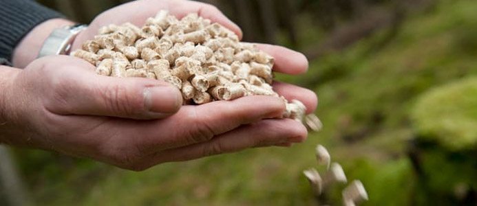 Pellets från Derome. Bild: Deromegruppen