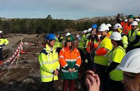 Stora biokraftvärmeverk planeras i Sverige