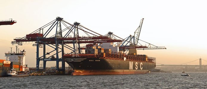 MSC Maya