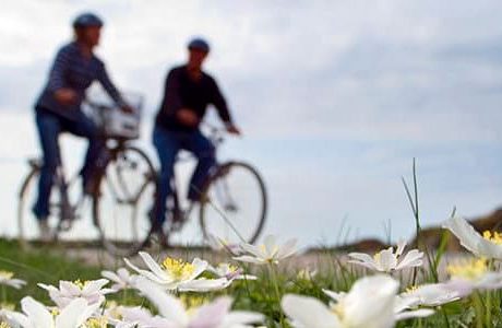 Svevia bygger ut cykelleden Kattgattleden