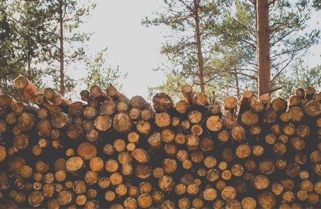 Vill reducera antalet hållbara biodrivmedel