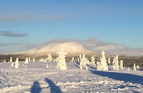 Jättesatsning på elnät i populära skidorten