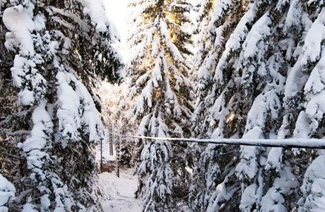 Kraftigt snöfall skapar problem i Värmland
