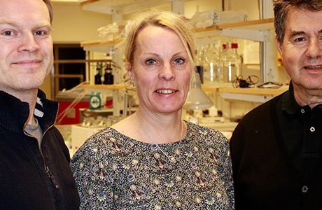 Biokemiska metoder för koldioxidhantering