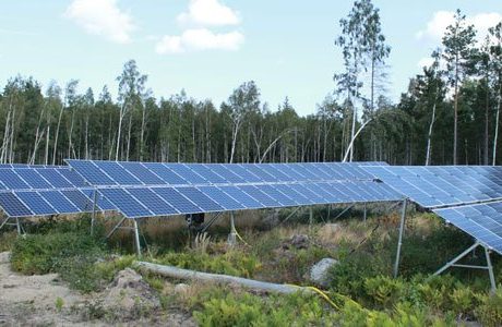 Närproducerad solkraft från privat solcellspark