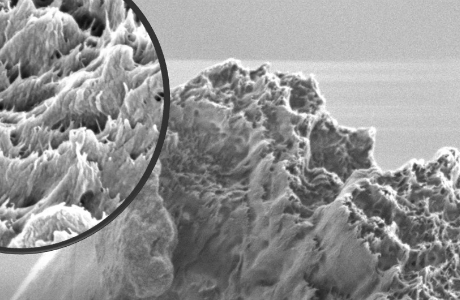 Världens starkaste biomaterial