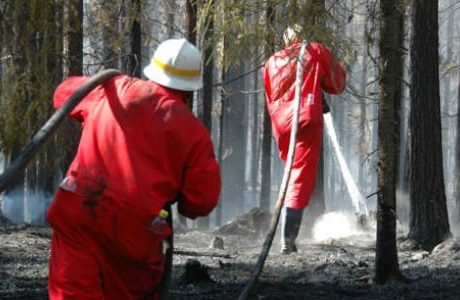 Färska siffror: det kostade bränderna