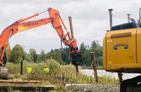 Största renoveringsvintern på 200 år