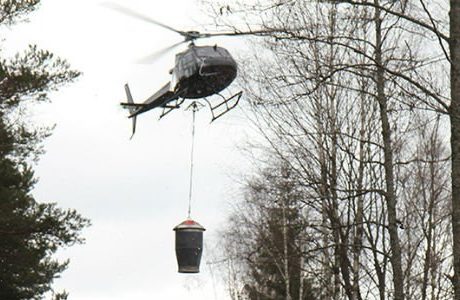 Askgranuler ger näring till skogen