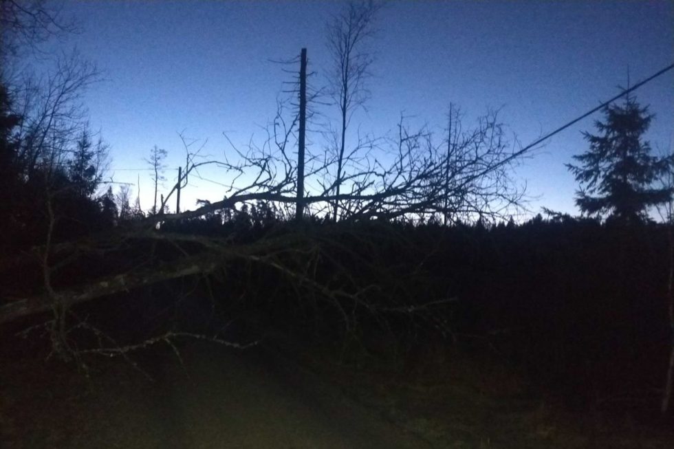 Strömhaveri för E.ON efter hårda stormvindar