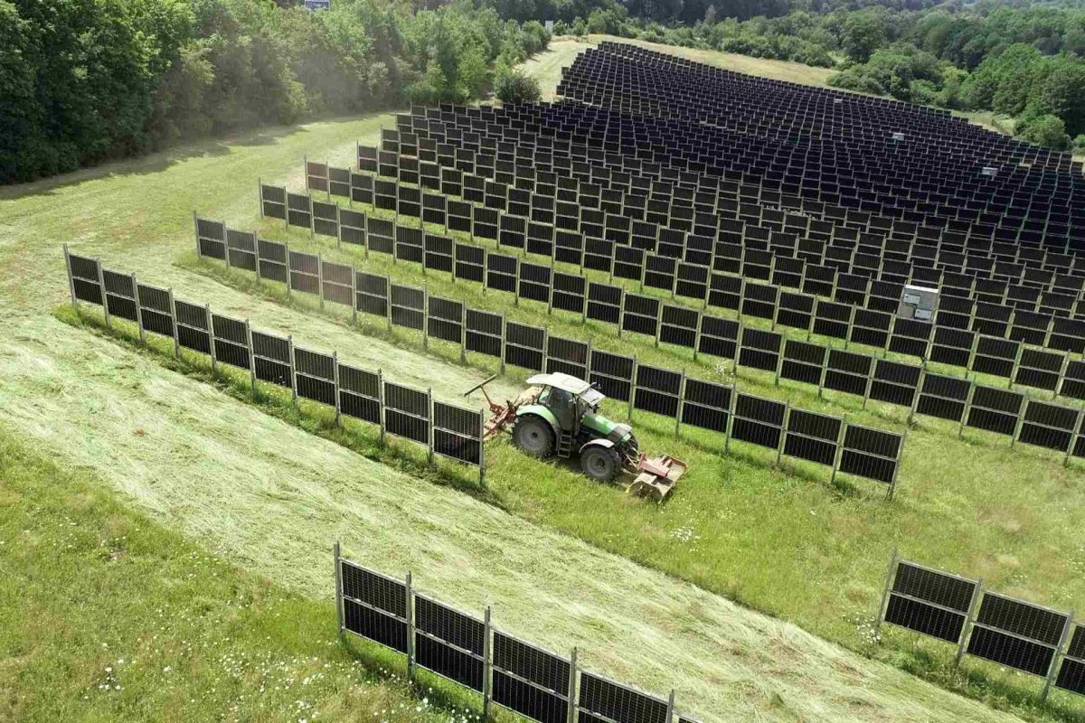 Här byggs Nordens största solpark i sitt slag