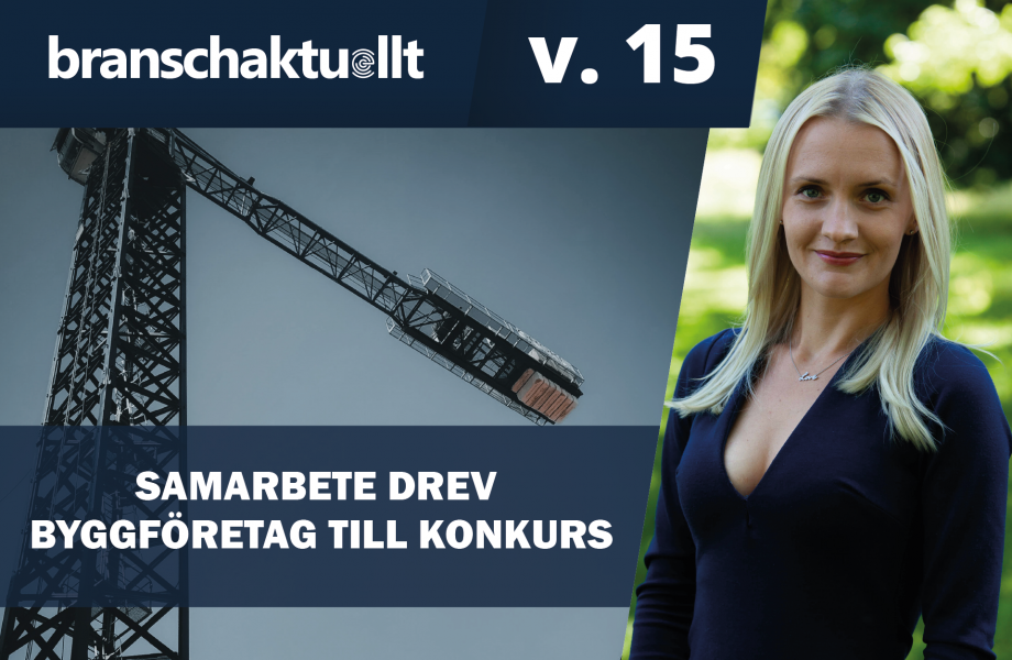 TV: Samarbete drev byggföretag till konkurs