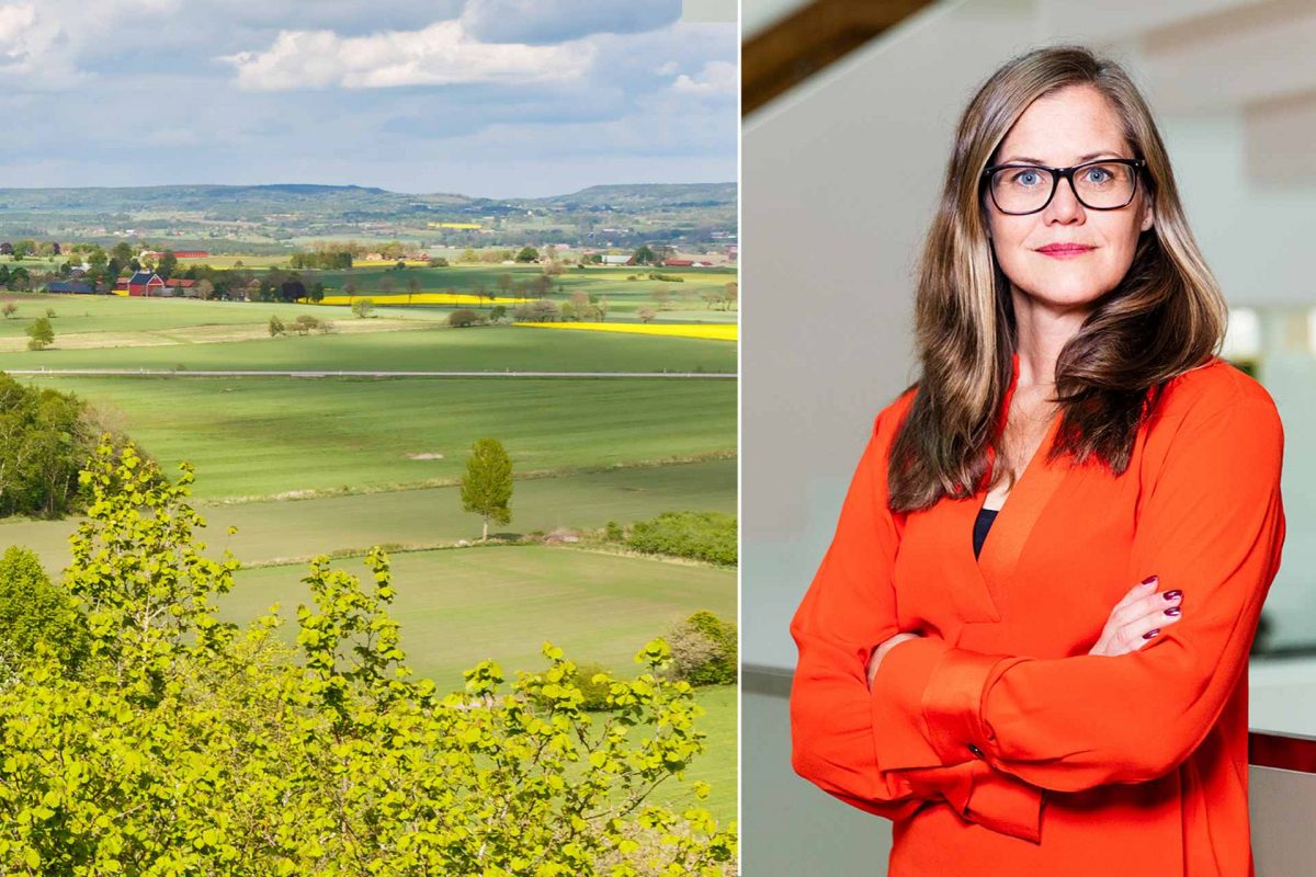 Föråldrad tillståndsprocess bromsar klimatomställningen