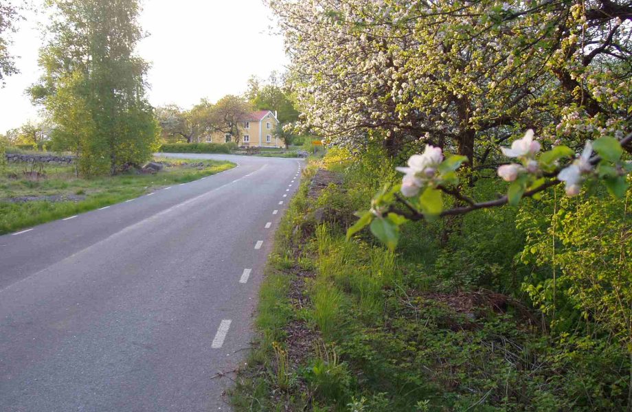 Peab får vägkontrakt för 360 miljoner