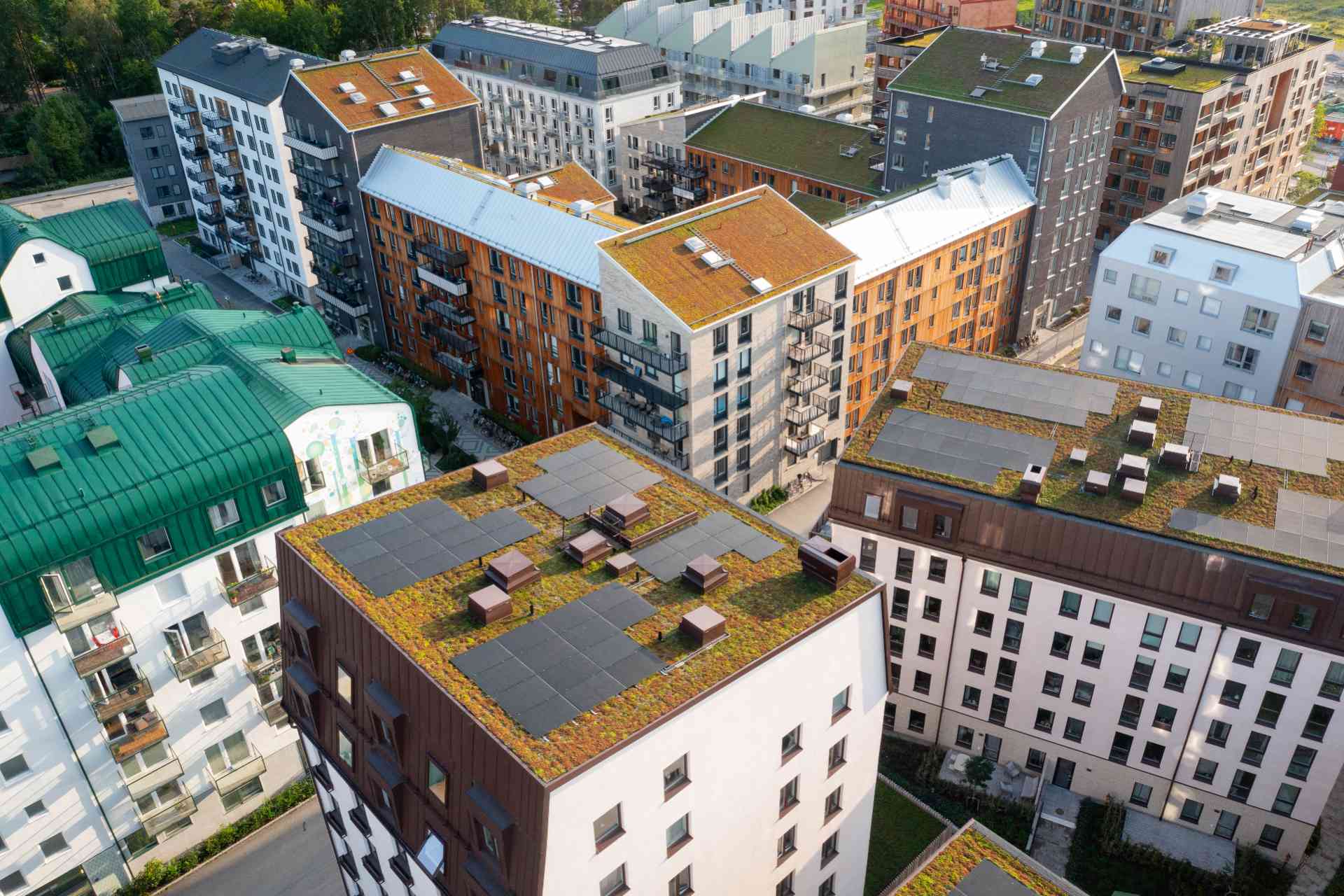 Klart: De bygger klimatpositiv stadsdel