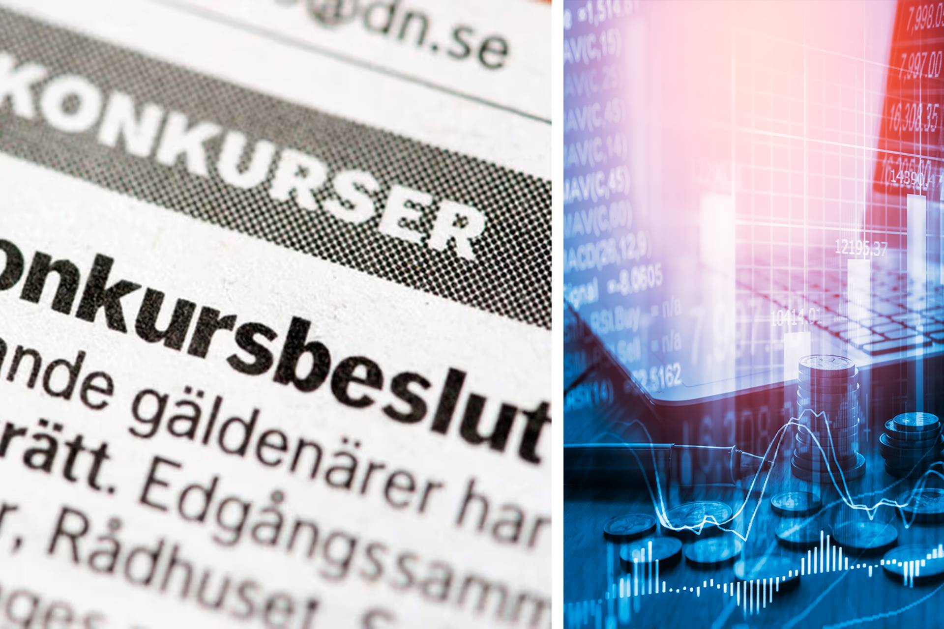 Anrik elfirma i konkurs