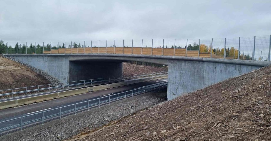 Faunapassage över E4:an ska hjälpa de vilda djuren Logo