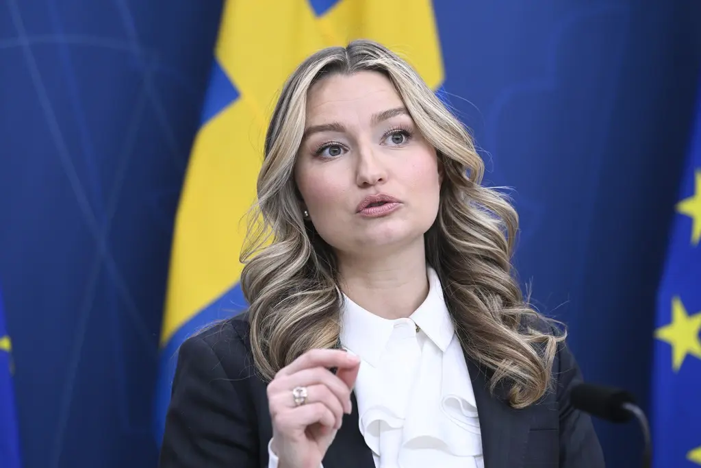 Svenska kraftnät ska åter utreda elområden