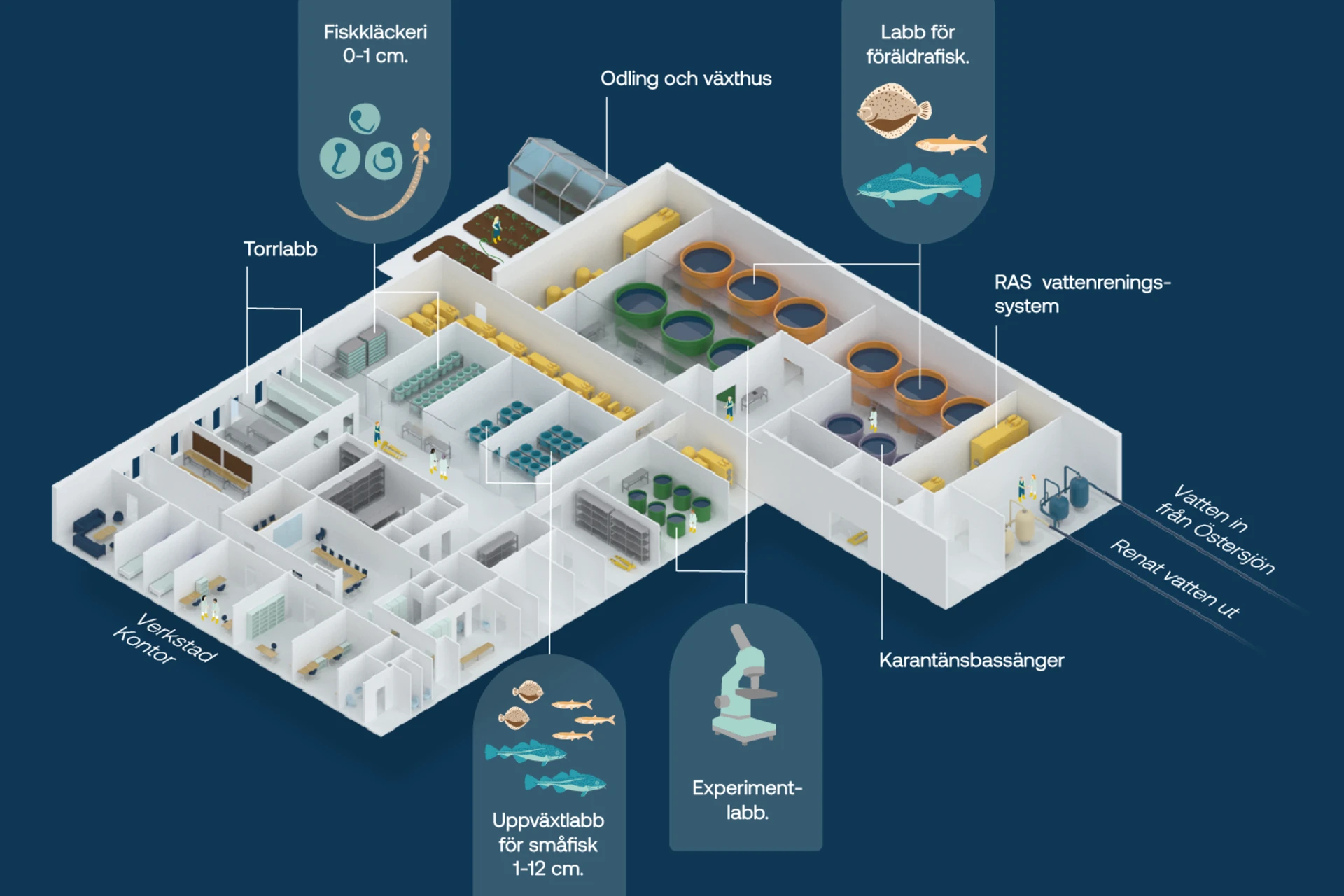 Nytt laboratorium för storsatsning på fiskforskning
