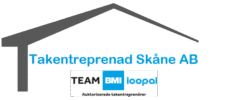 Takentreprenad Skåne AB Logo