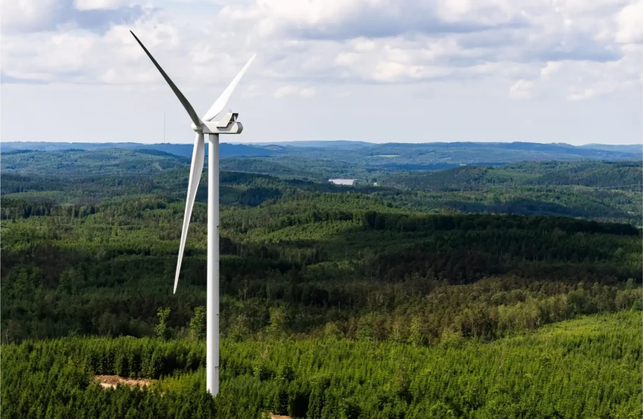 Dryckesjätten satsar på vindkraft