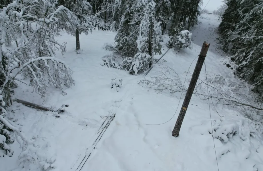 Elnätet kraftigt skadat efter stormarna