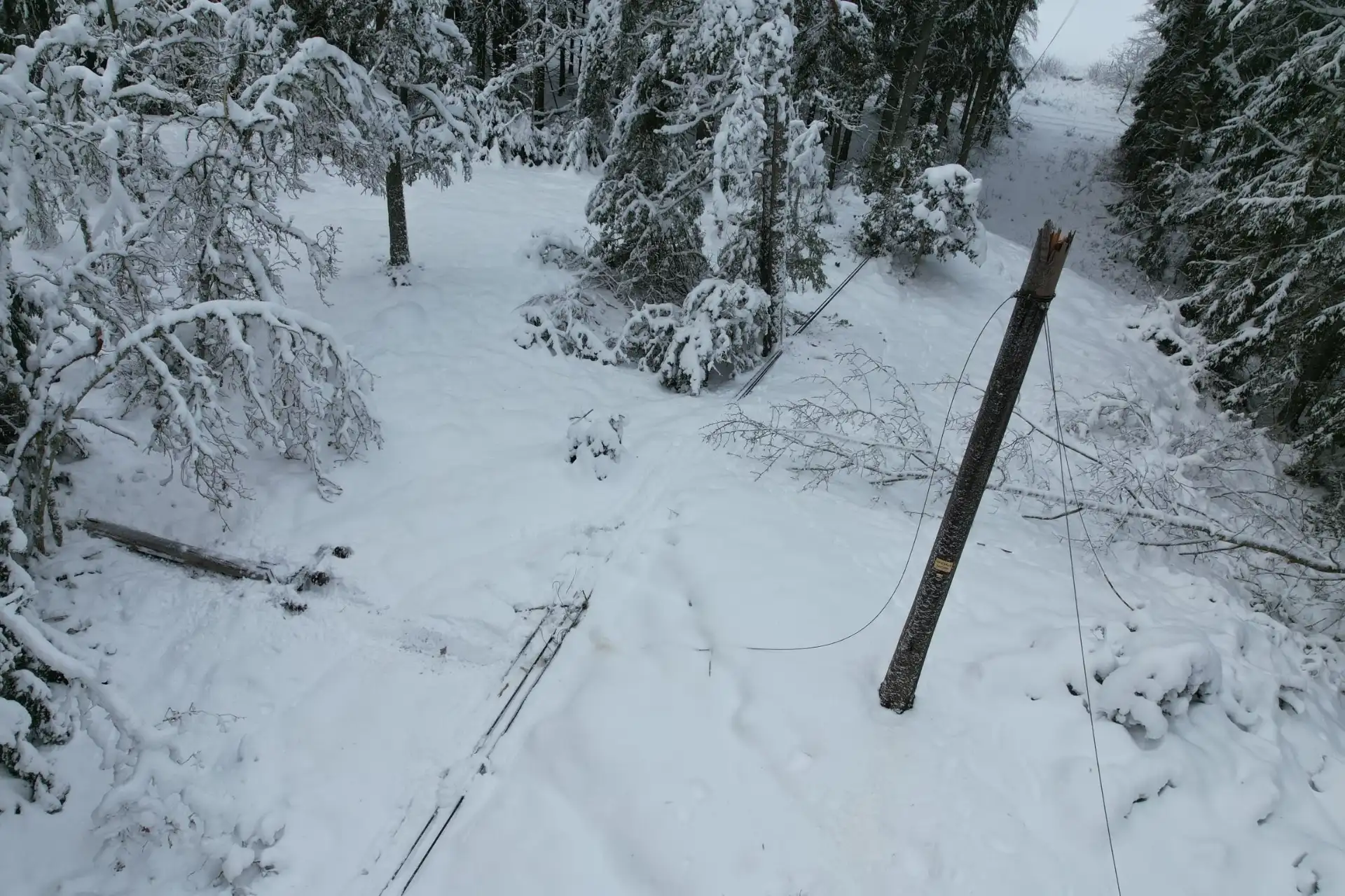 Elnätet kraftigt skadat efter stormarna