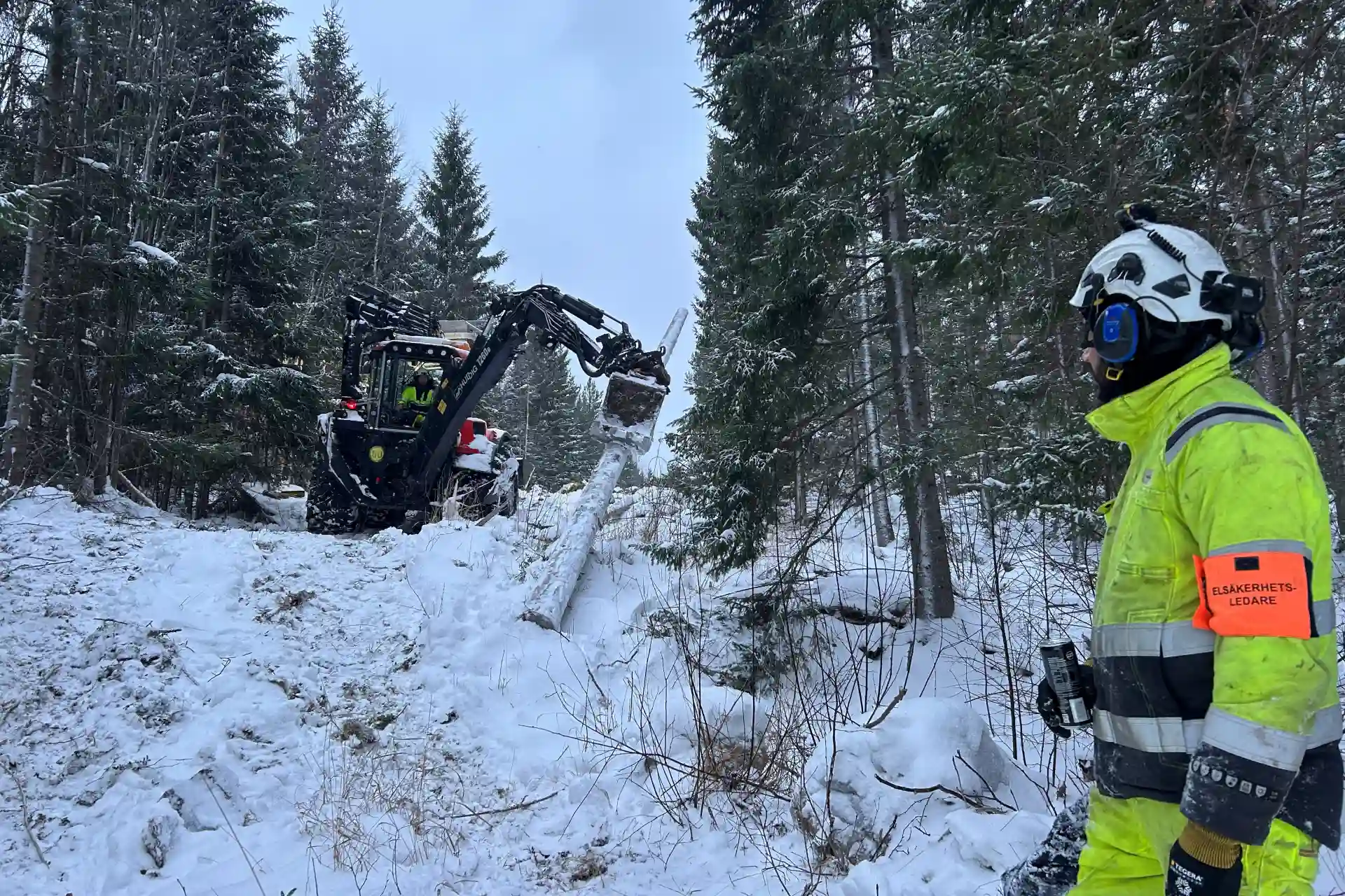 Tvingas spränga träd - en månad efter stormen
