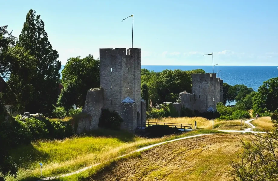 Visby säkrar dricksvattnet med hemlig process