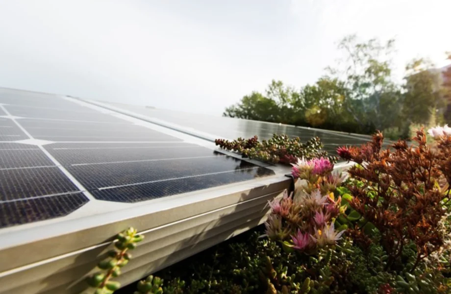 Här är regionen som krossar energimålen i förtid