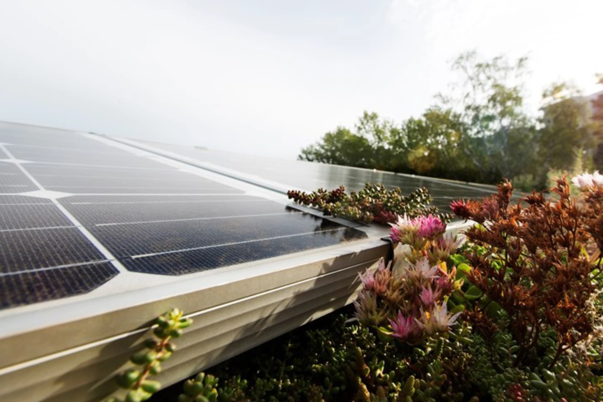 Här är regionen som krossar energimålen i förtid