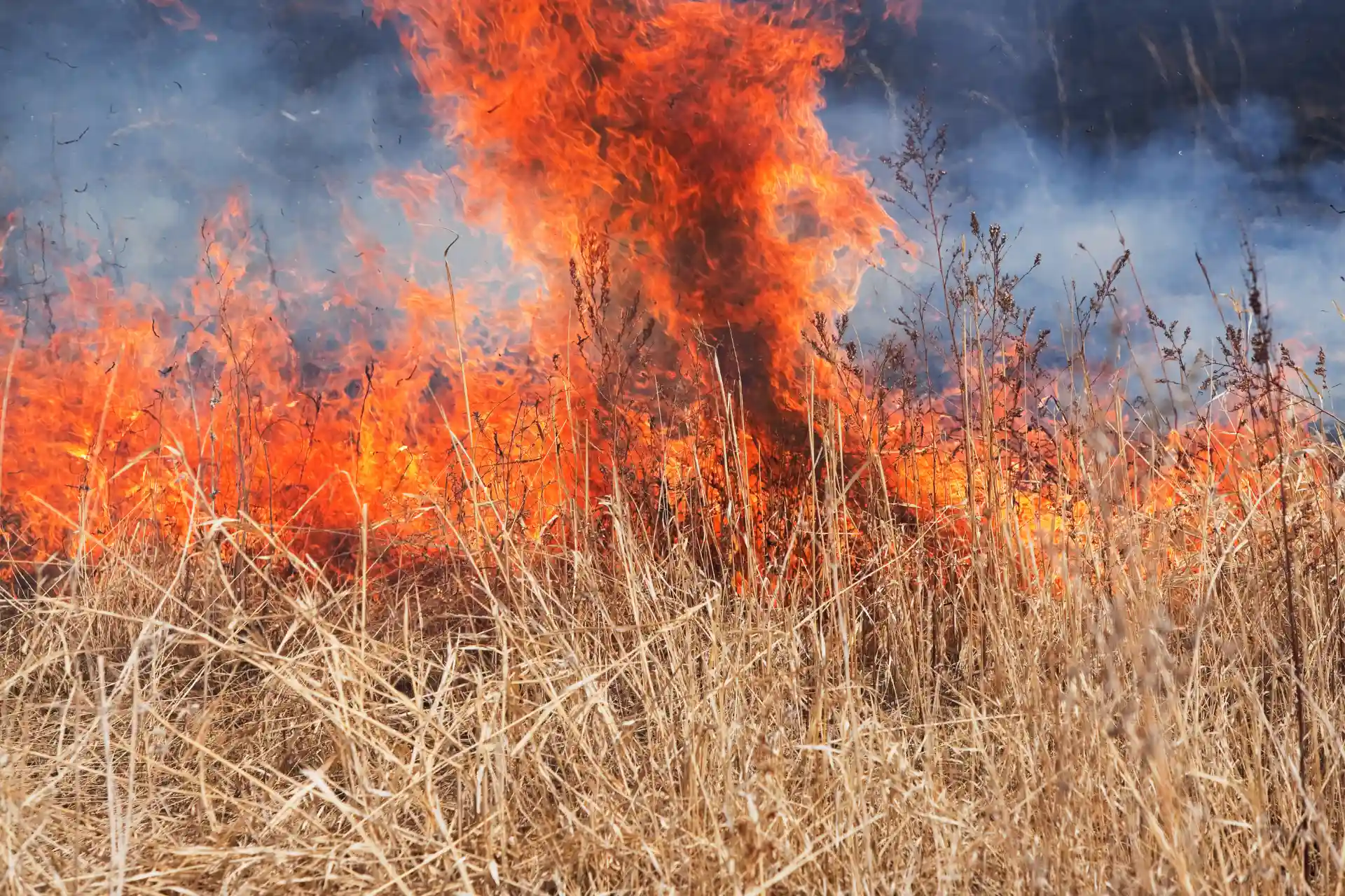 Välkända bron har kollapsat – efter storbrand