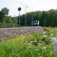 Dags att byta ut ledningen