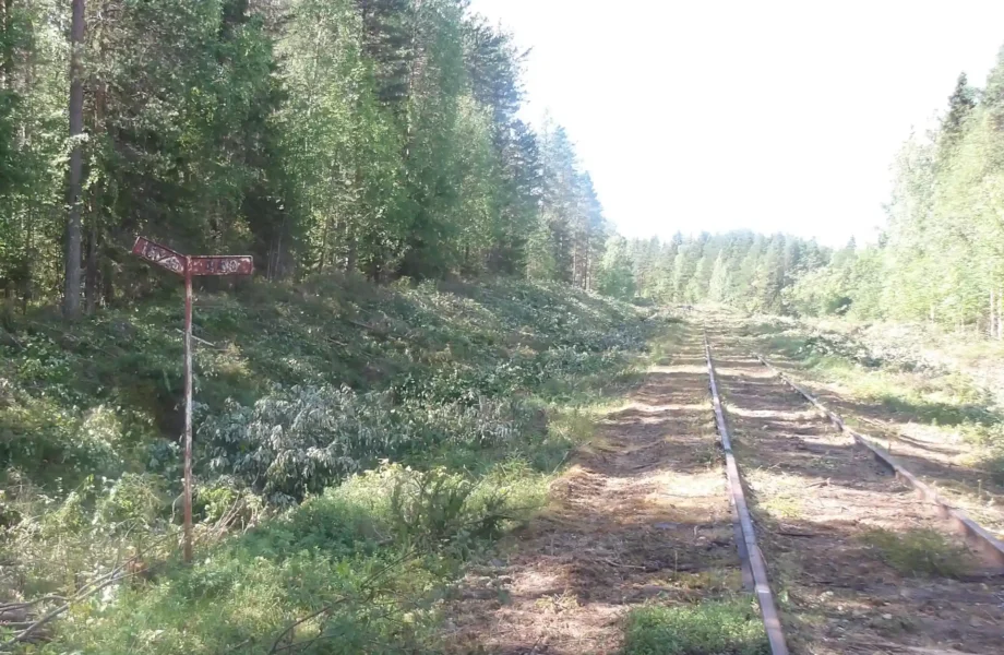 Här får nedlagda banorna nytt liv
