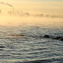 Industribolag mörkar miljödata i rapporter