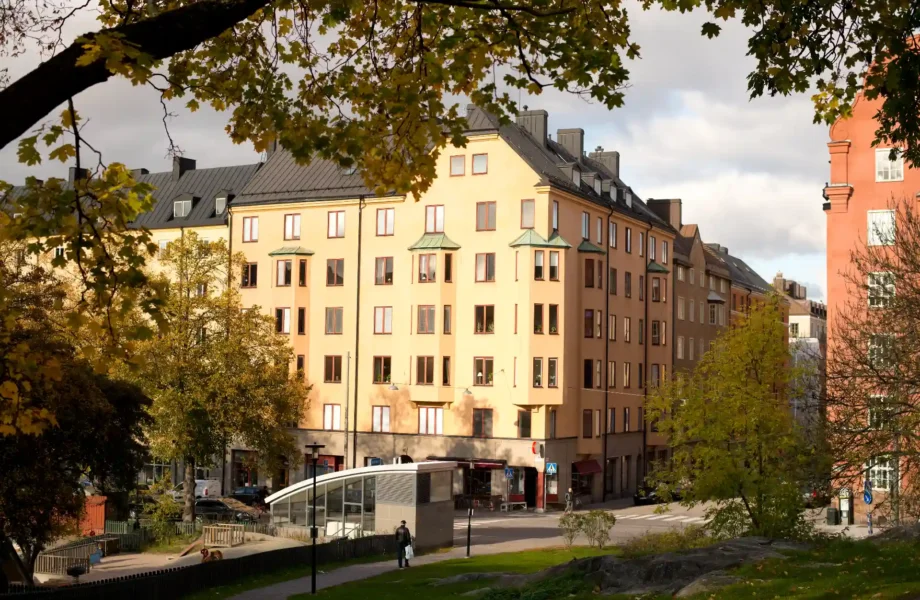 Husmarknaden ökar - när övriga kämpar